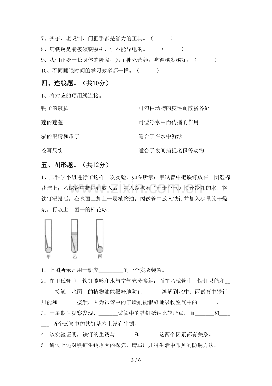 人教版六年级科学下册期中测试卷(A4版).doc_第3页