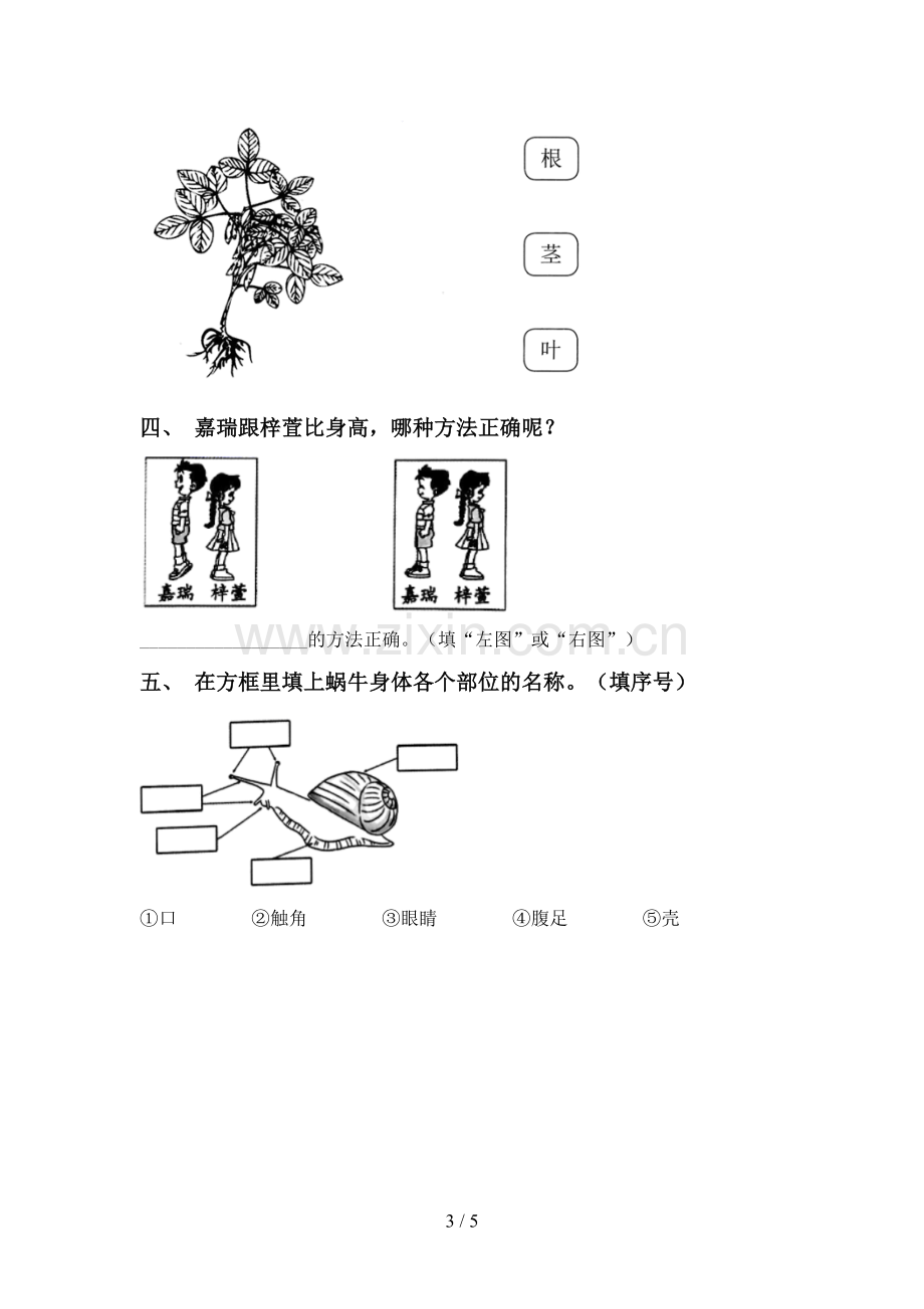 2023年人教版一年级科学下册期中考试卷及答案2.doc_第3页