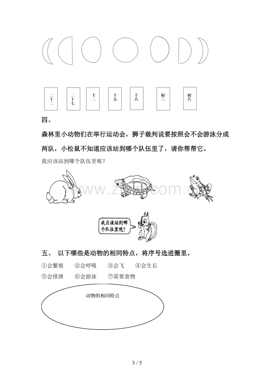 新教科版一年级科学下册期中试卷含答案.doc_第3页