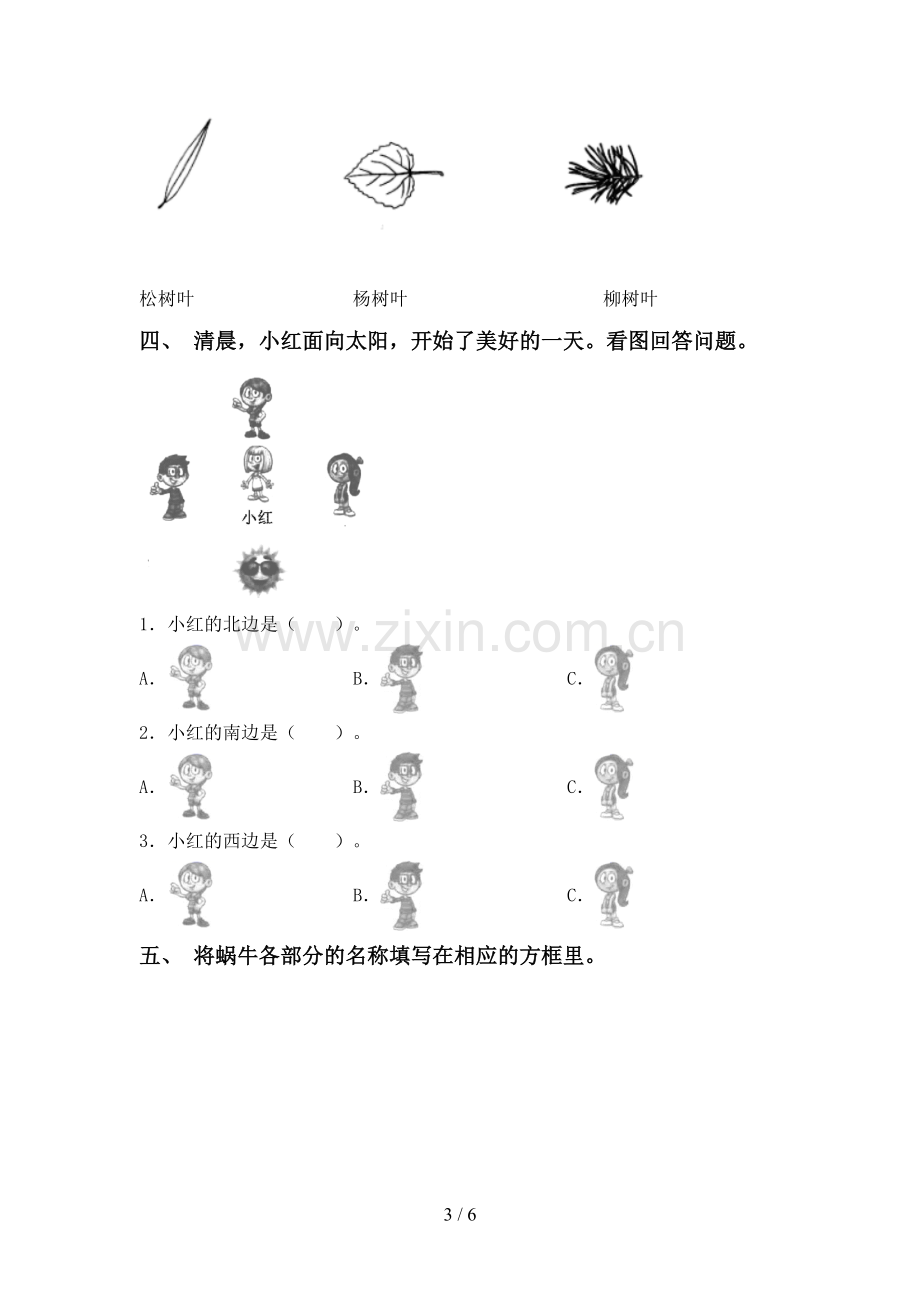 人教版一年级科学下册期中考试卷及答案1套.doc_第3页