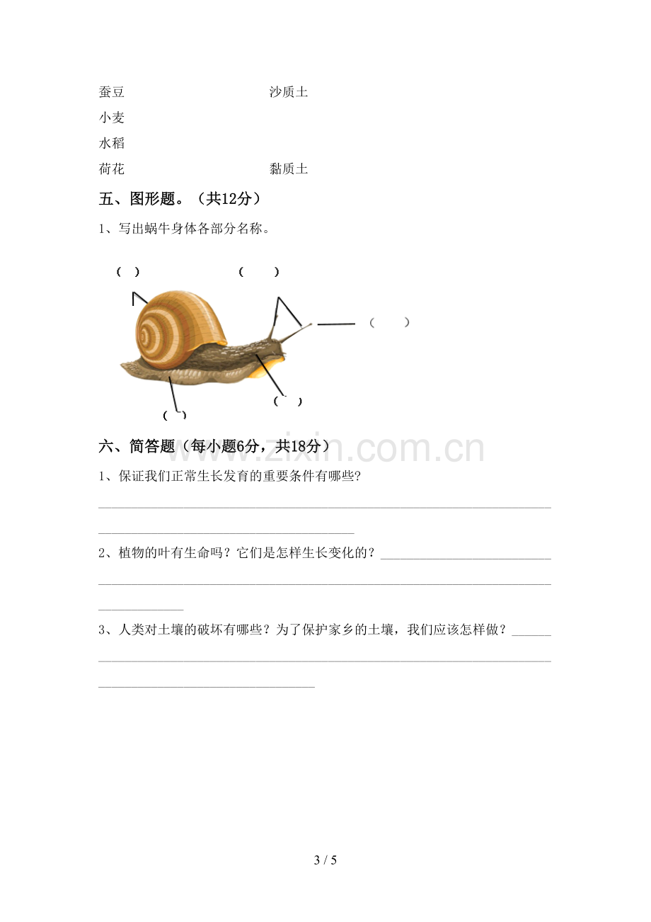 三年级科学下册期中考试卷及答案【必考题】.doc_第3页