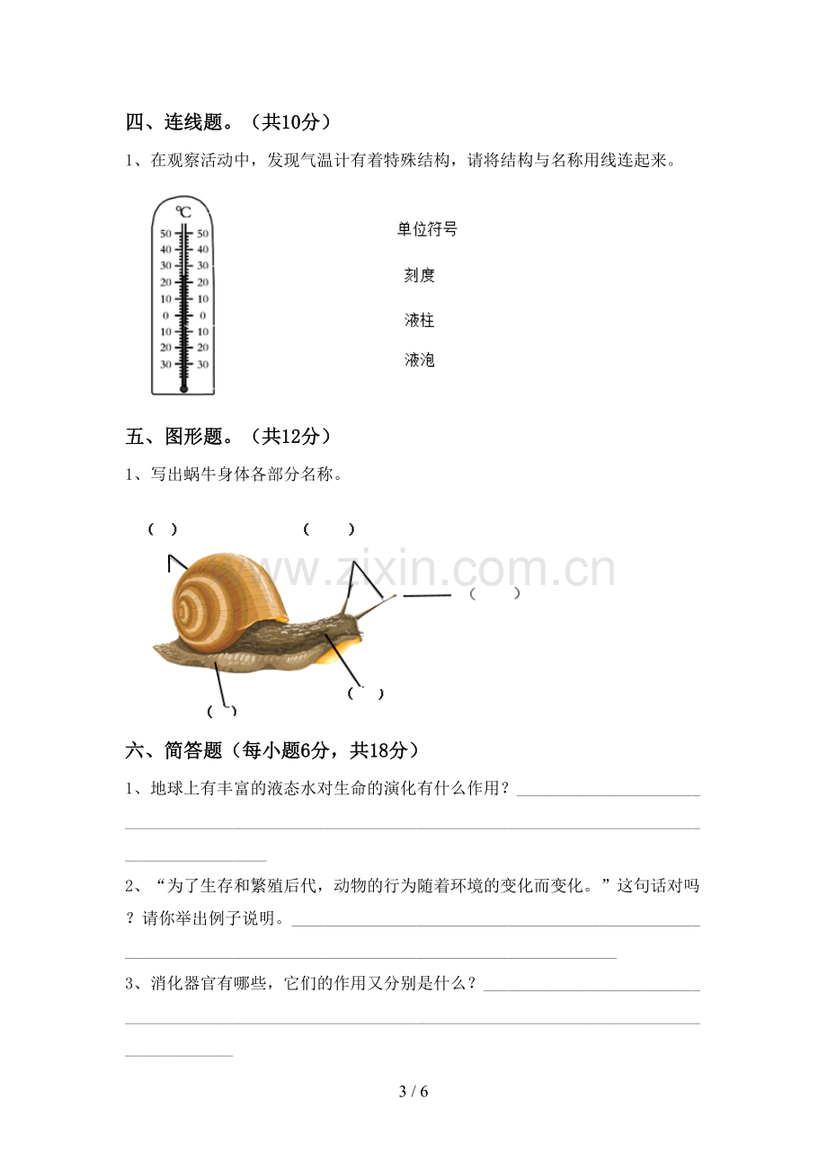 教科版三年级科学下册期中试卷(全面).doc_第3页