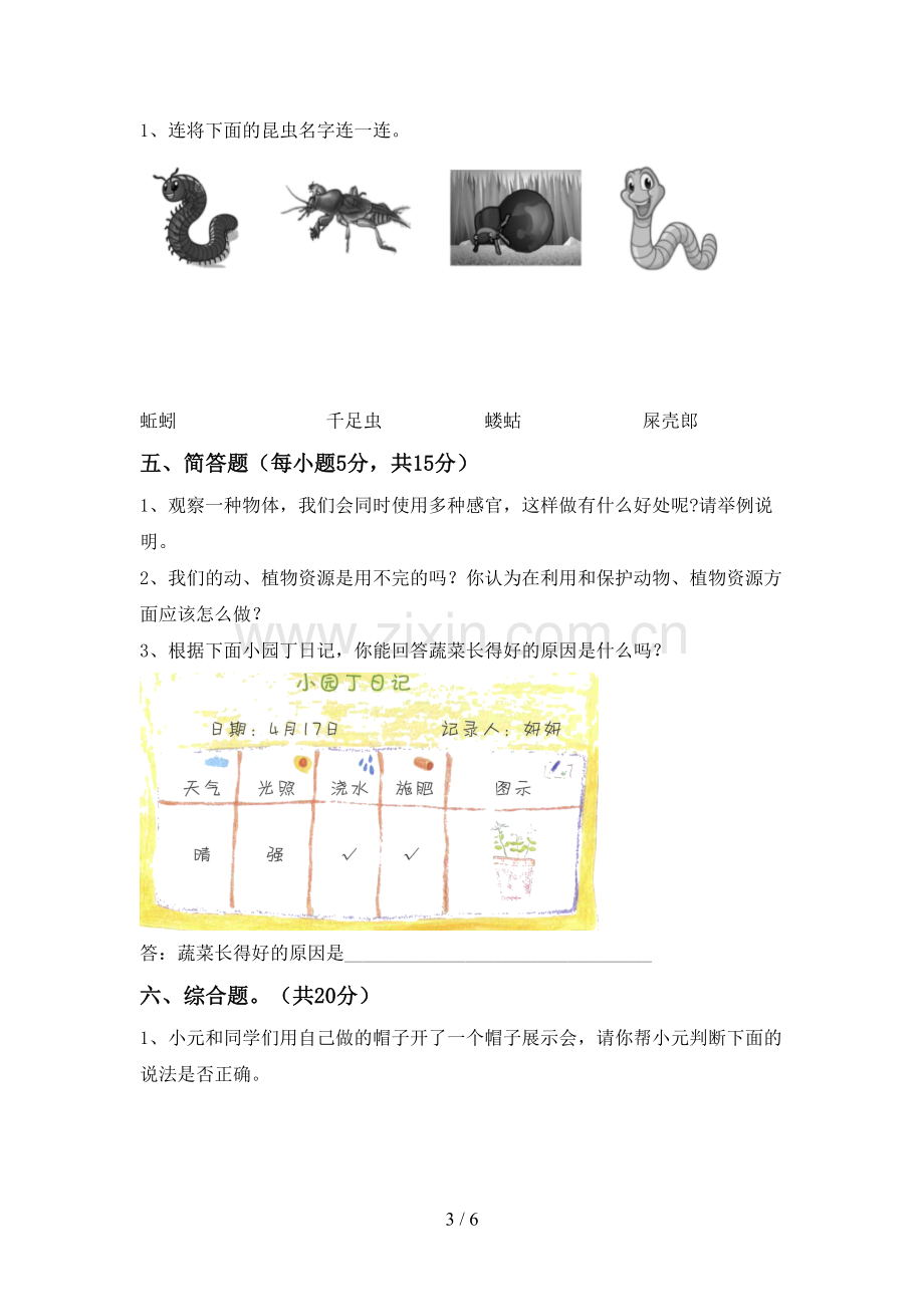 苏教版二年级科学下册期中试卷及答案.doc_第3页