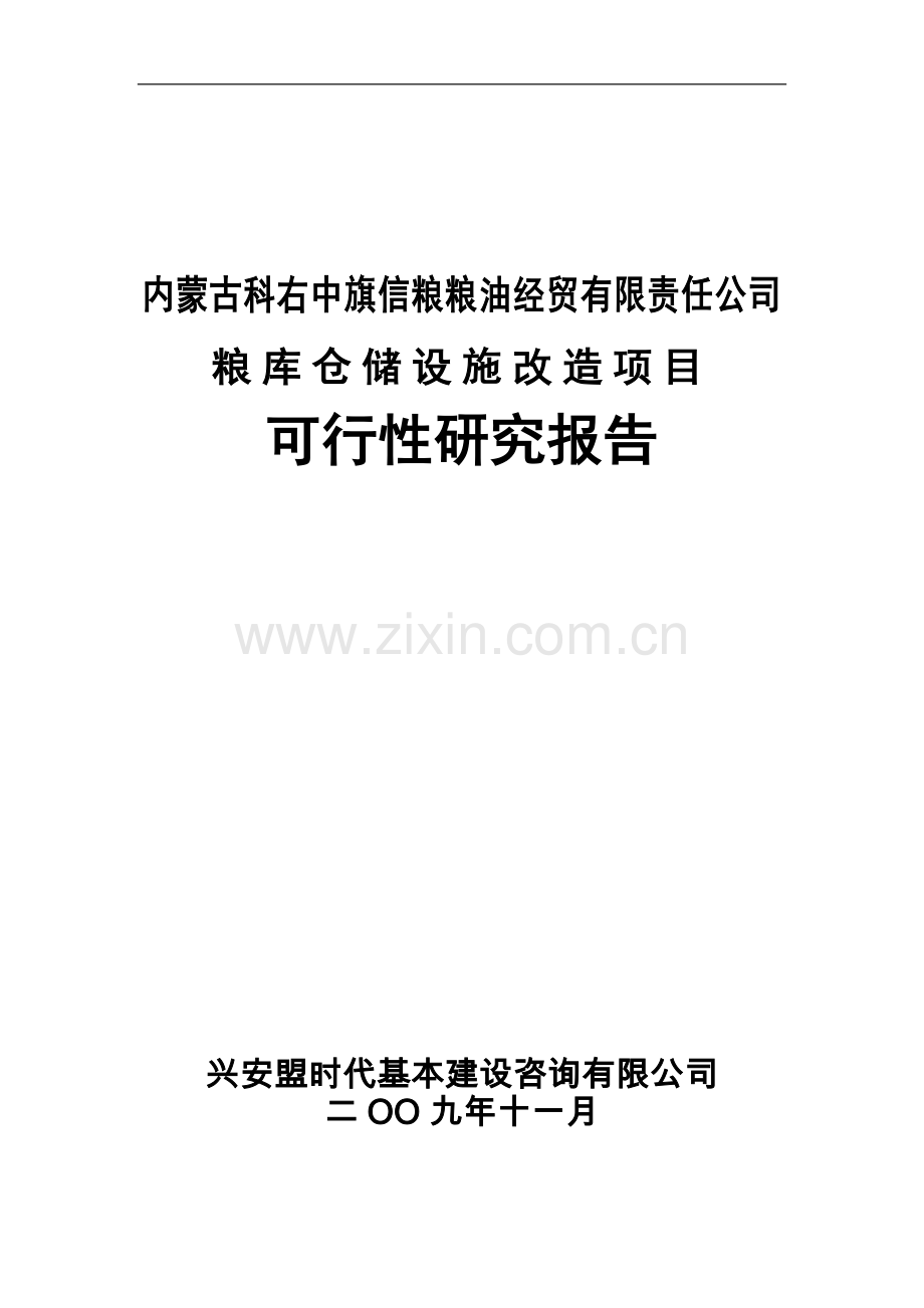 粮油经贸有限责任公司仓储设施改造项目可行性策划书.doc_第1页