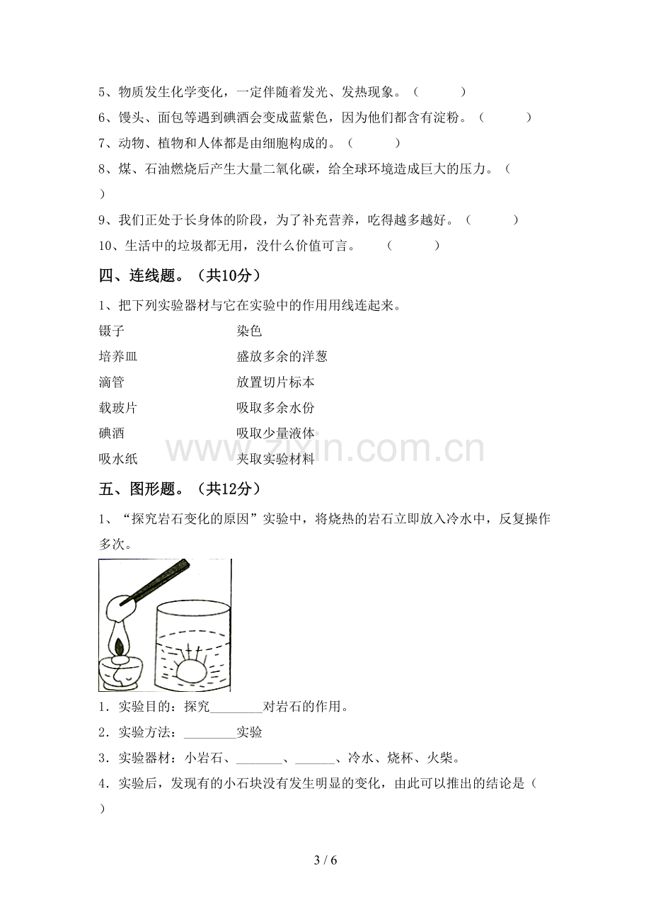 新教科版六年级科学下册期中测试卷及答案【审定版】.doc_第3页