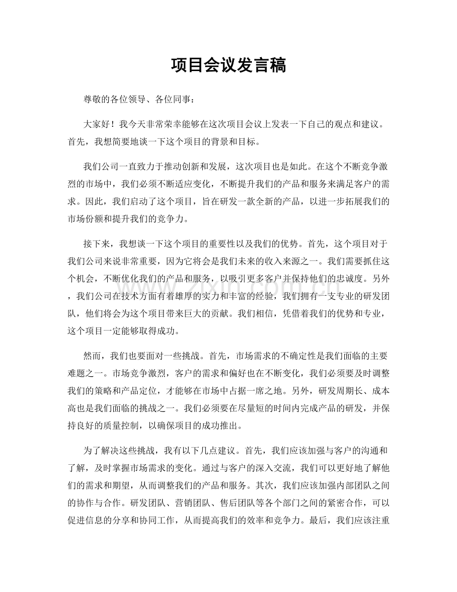 项目会议发言稿.docx_第1页