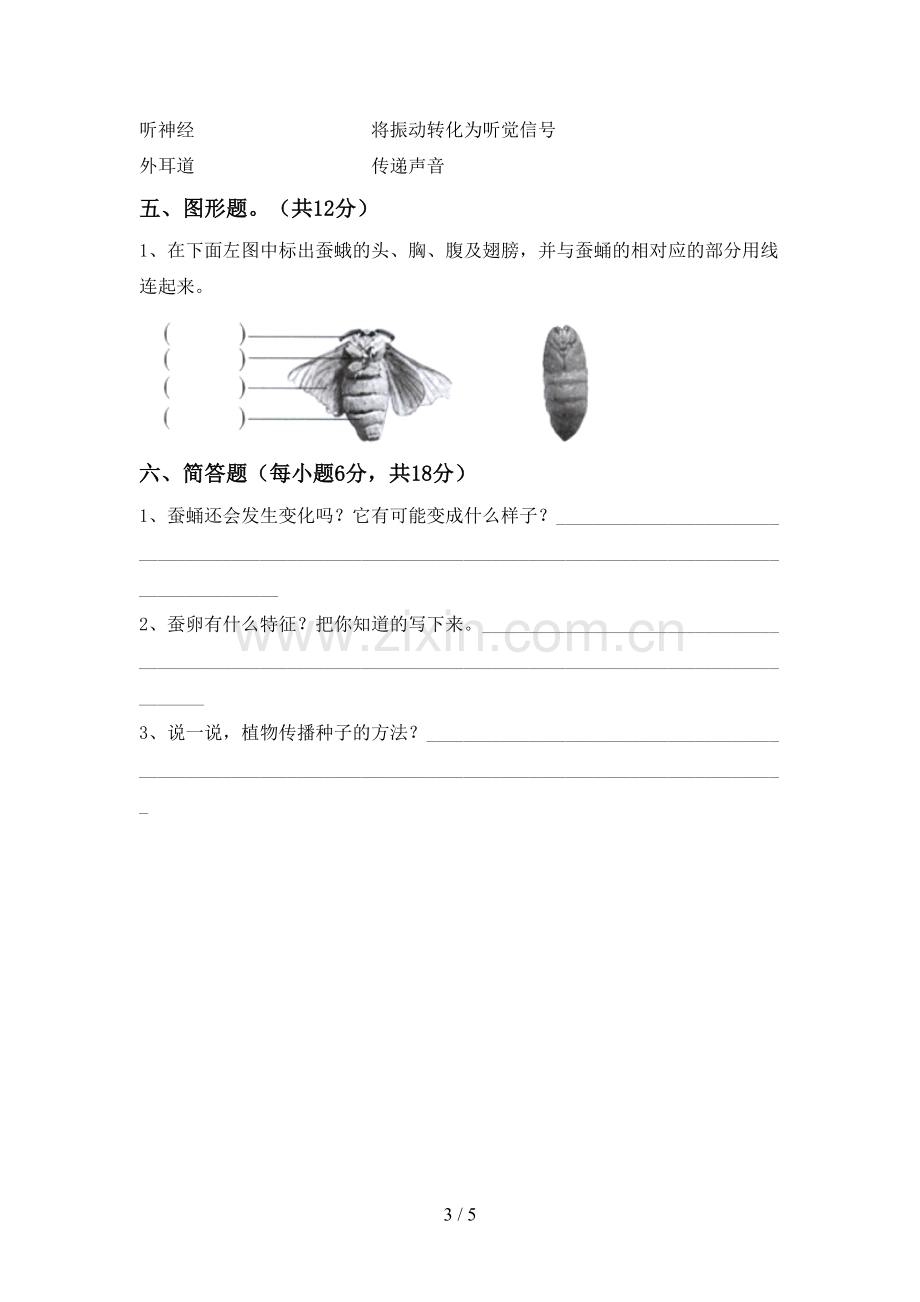 新人教版三年级科学下册期中考试卷及答案【新版】.doc_第3页