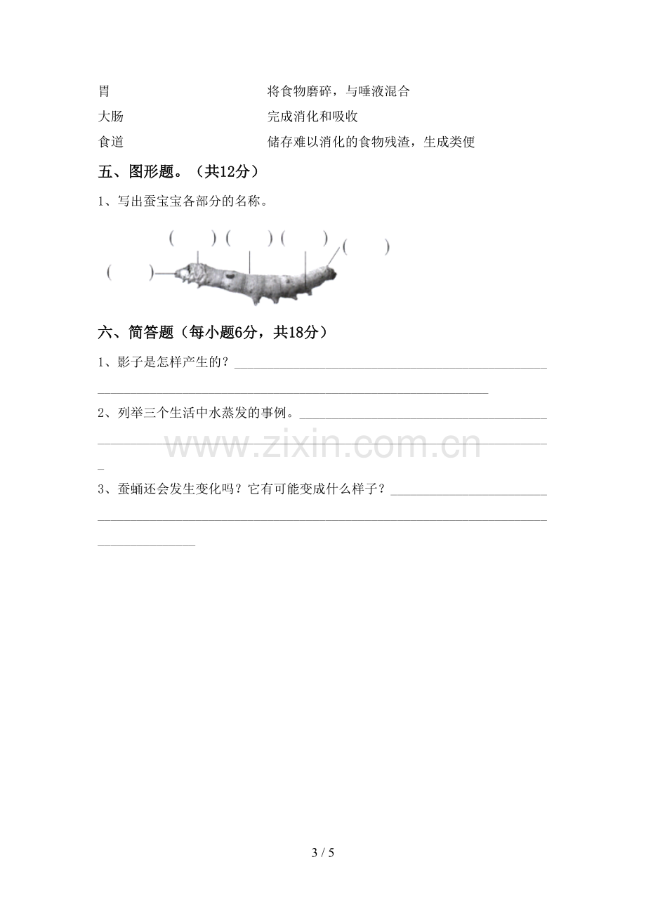 2022-2023年人教版三年级科学下册期中考试题及答案【下载】.doc_第3页