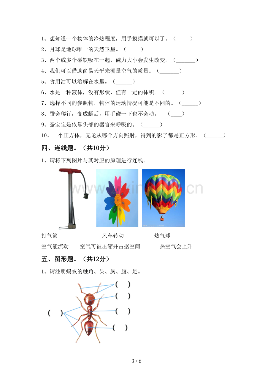 三年级科学下册期中考试题及完整答案.doc_第3页