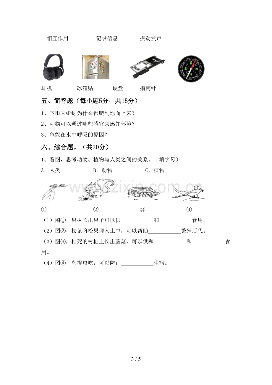 人教版二年级科学下册期中考试题一.doc_第3页