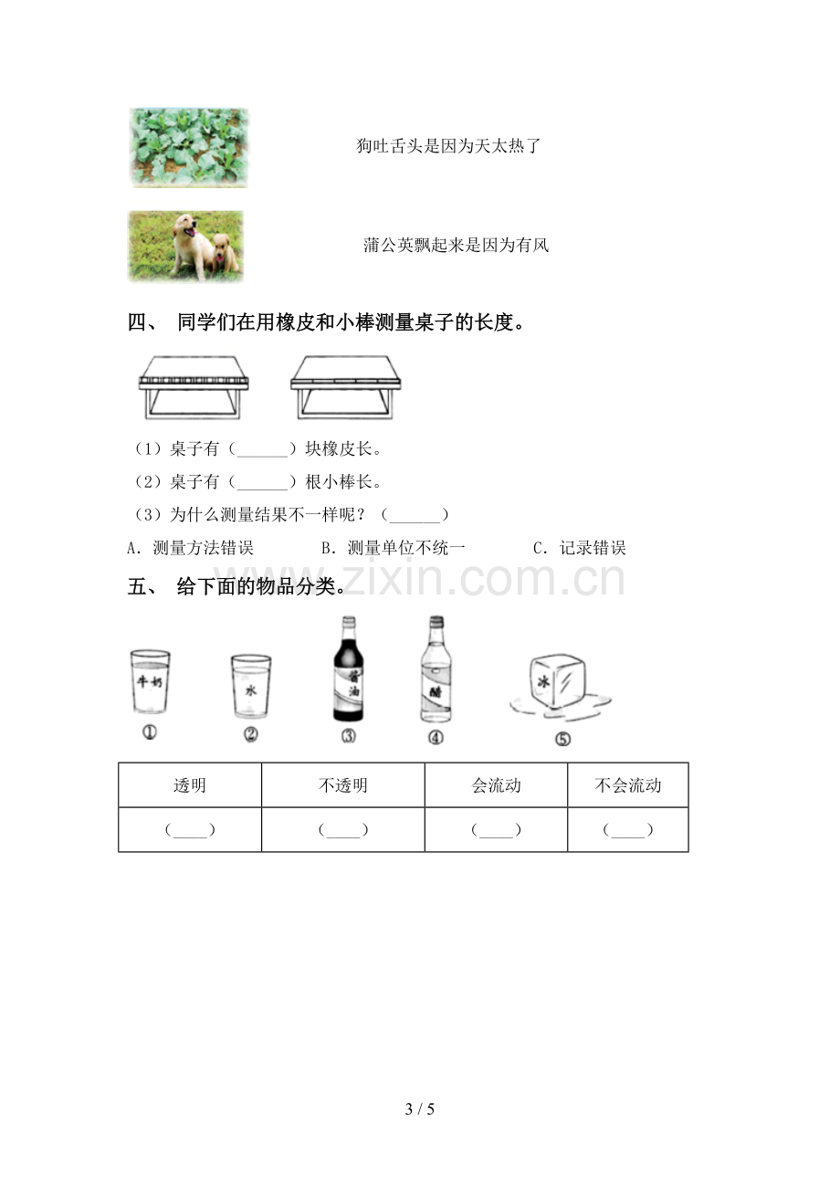 新教科版一年级科学下册期中考试卷.doc_第3页