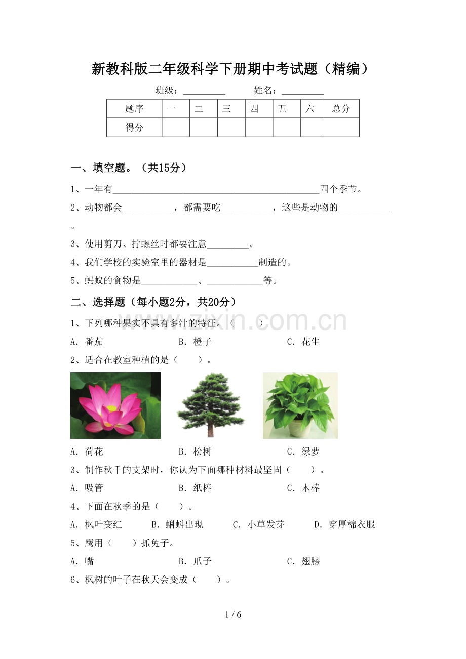 新教科版二年级科学下册期中考试题(精编).doc_第1页