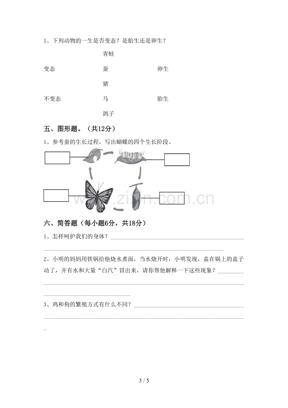 苏教版三年级科学下册期中测试卷.doc_第3页