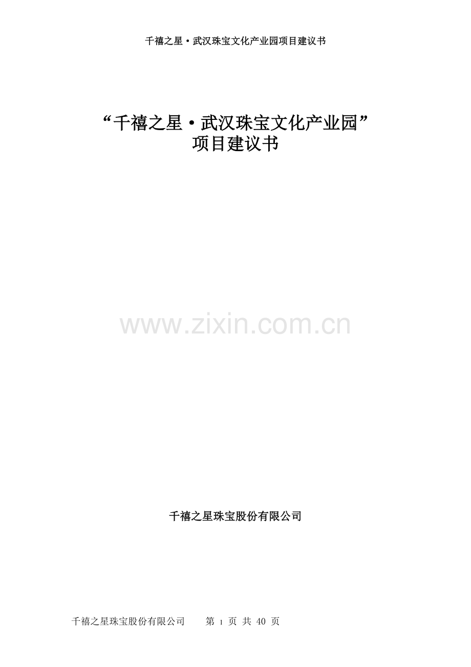 千禧之星武汉珠宝文化产业园项目可行性研究报告.doc_第1页