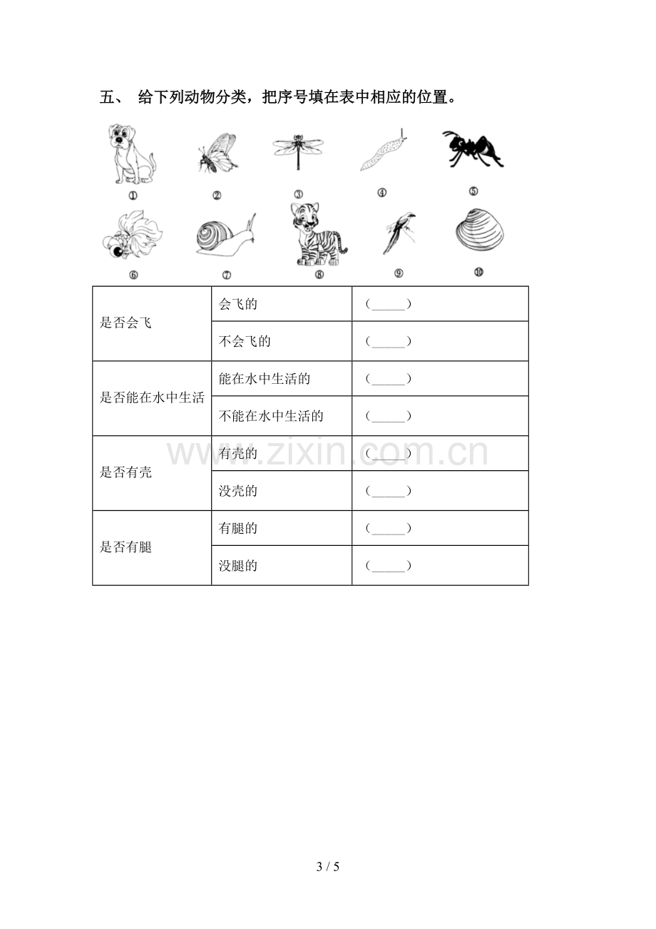 2023年人教版一年级科学下册期中考试卷(全面).doc_第3页