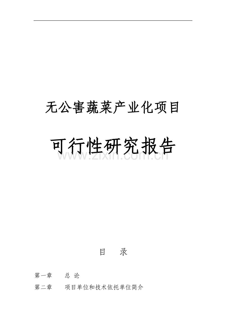 无公害蔬菜产业化项目可行性建议书.doc_第1页