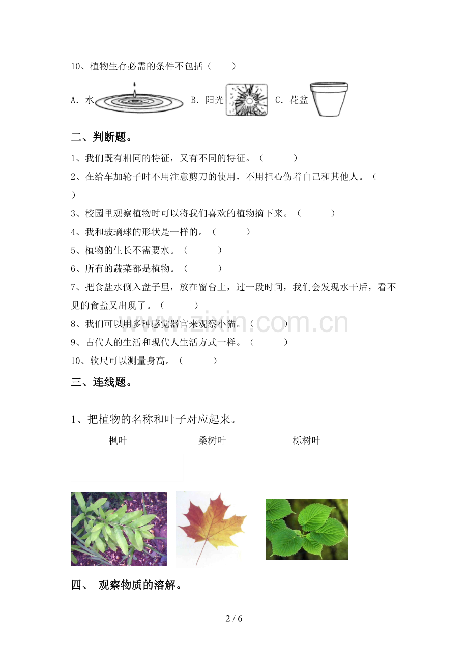 新教科版一年级科学下册期中测试卷(全面).doc_第2页