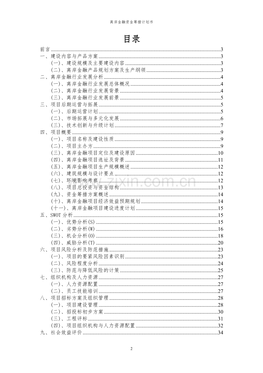 2023年离岸金融项目资金筹措计划书.docx_第2页