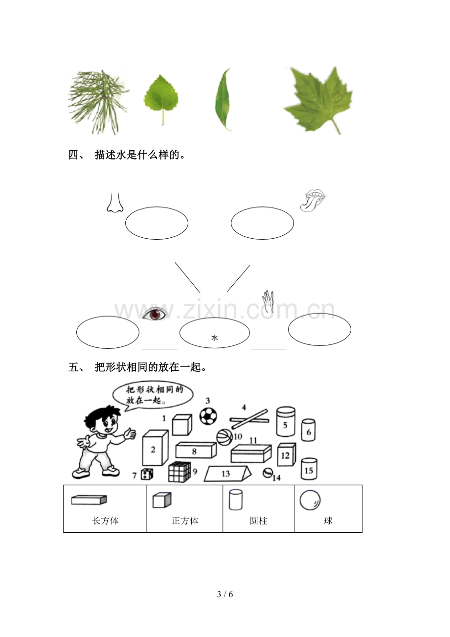 2023年教科版一年级科学下册期中考试题(全面).doc_第3页