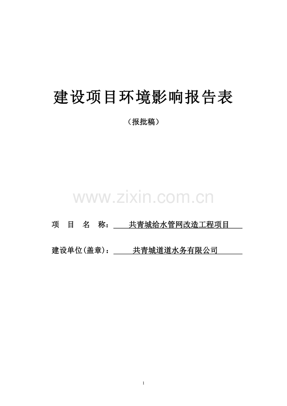 给水管网改造工程项目环境影响评估报告表.doc_第1页