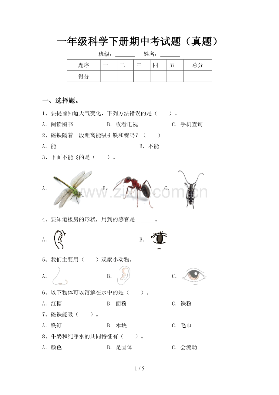 一年级科学下册期中考试题(真题).doc_第1页