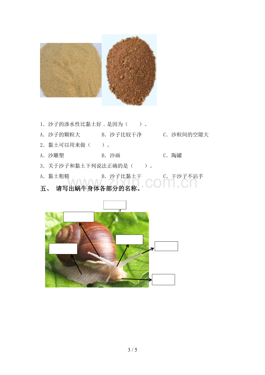 一年级科学下册期中考试题(真题).doc_第3页