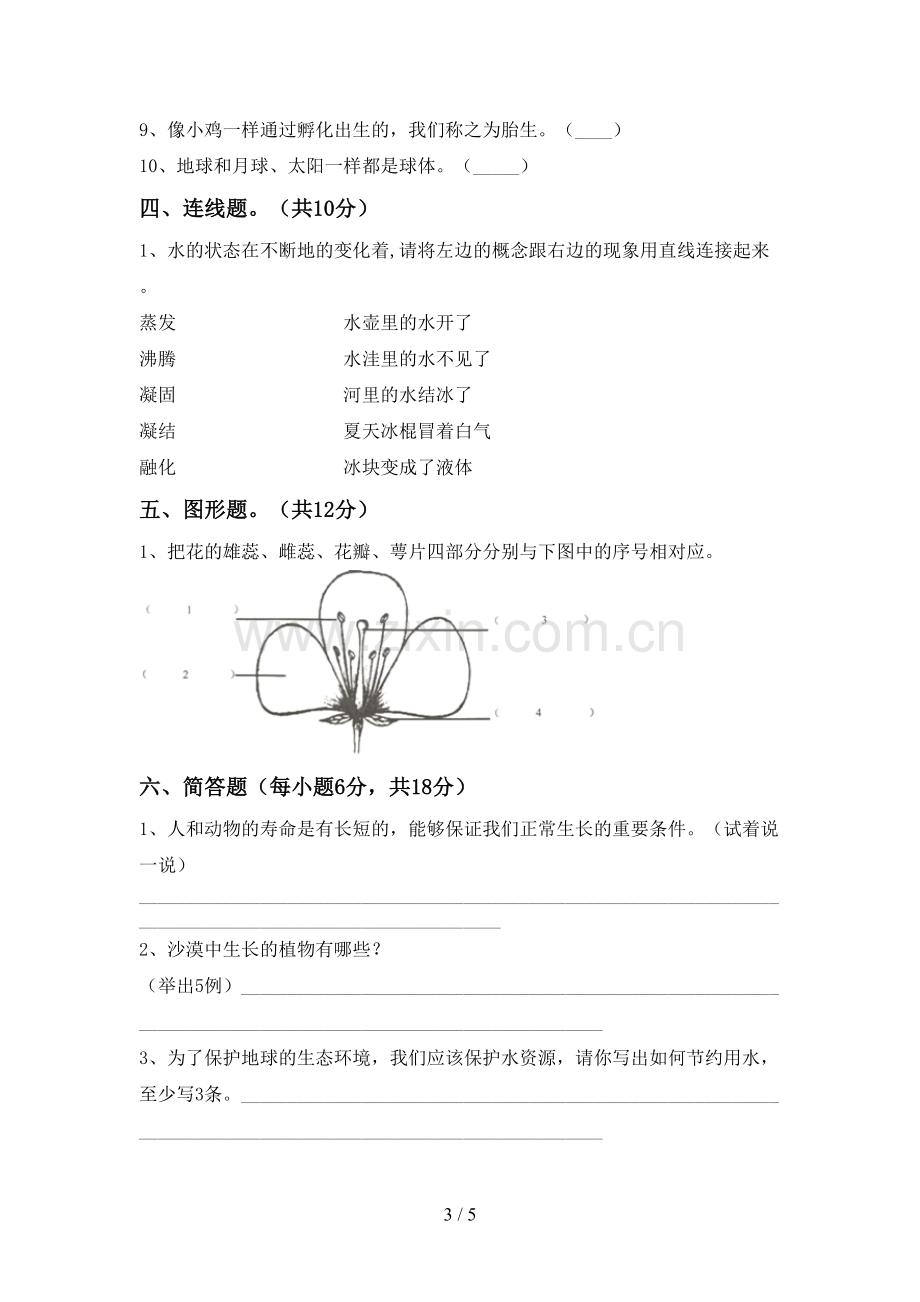 教科版三年级科学下册期中试卷及答案.doc_第3页