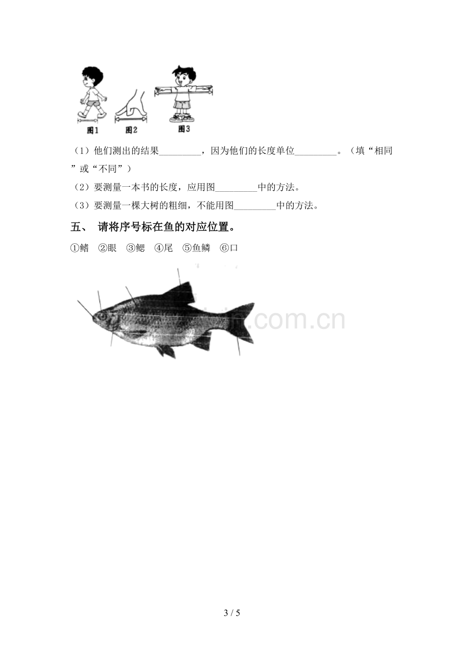 2023年教科版一年级科学下册期中考试题及答案.doc_第3页