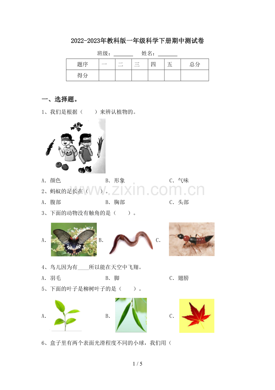 2022-2023年教科版一年级科学下册期中测试卷.doc_第1页