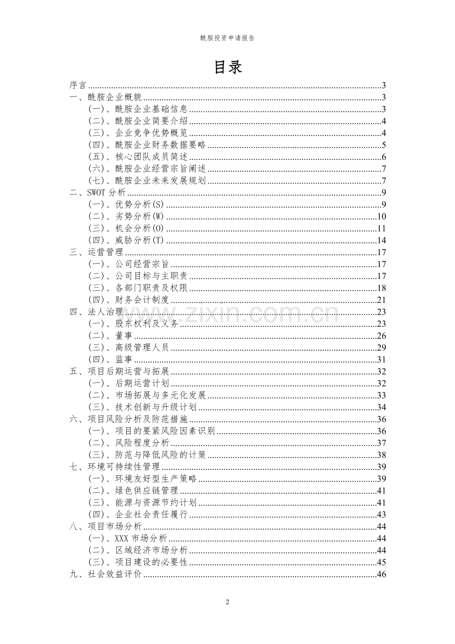 2024年酰胺投资申请报告.docx_第2页