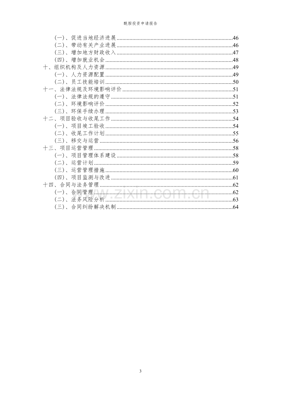 2024年酰胺投资申请报告.docx_第3页