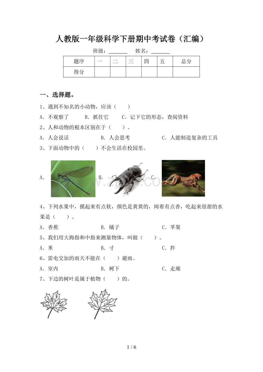 人教版一年级科学下册期中考试卷(汇编).doc_第1页