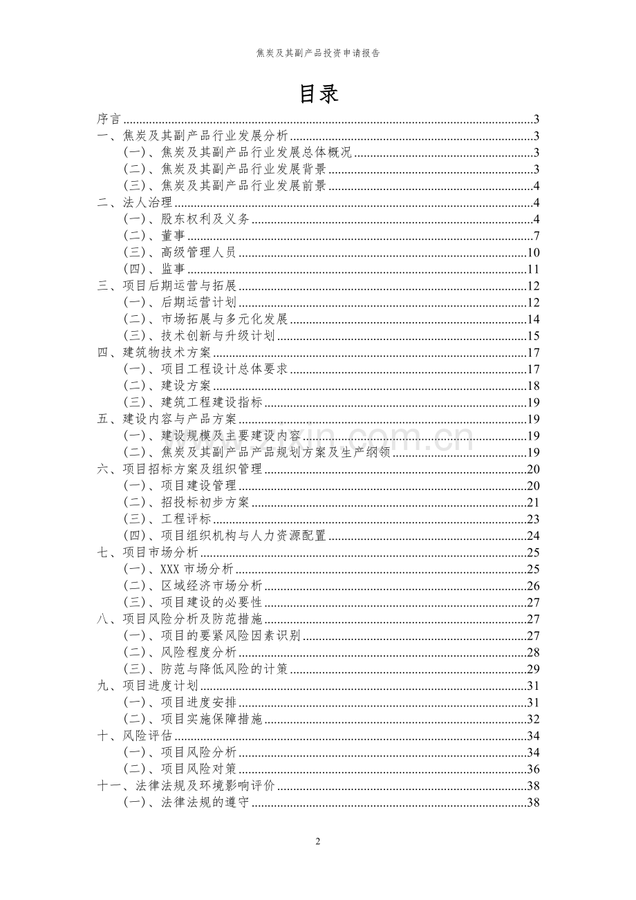 2024年焦炭及其副产品项目投资申请报告.docx_第2页