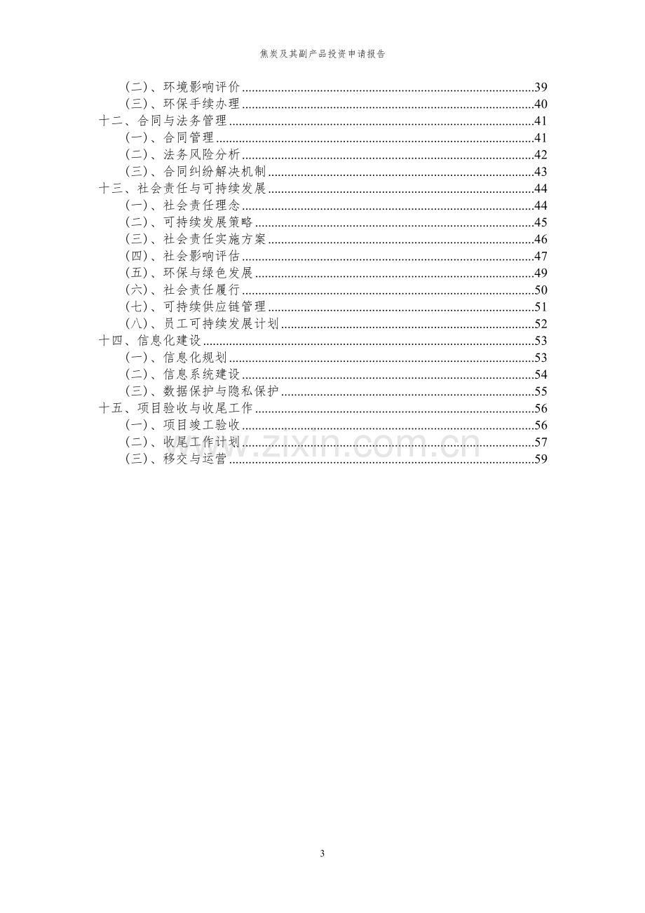 2024年焦炭及其副产品项目投资申请报告.docx_第3页