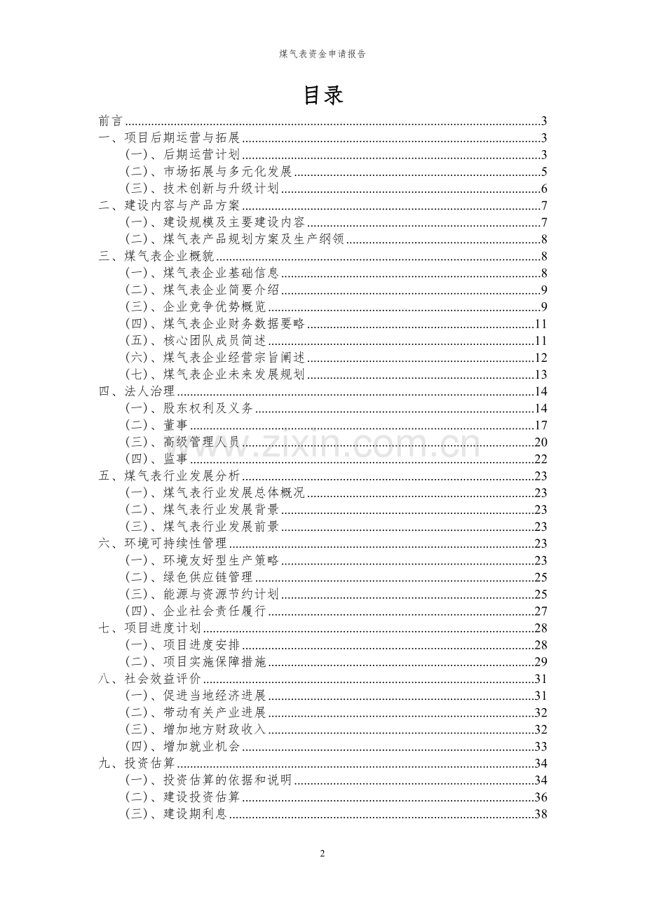 2024年煤气表投资项目资金申请报告.docx_第2页