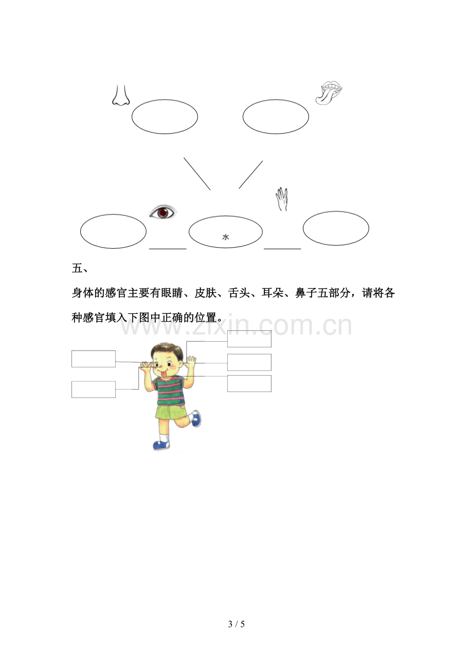 教科版一年级科学下册期中试卷及答案【汇总】.doc_第3页