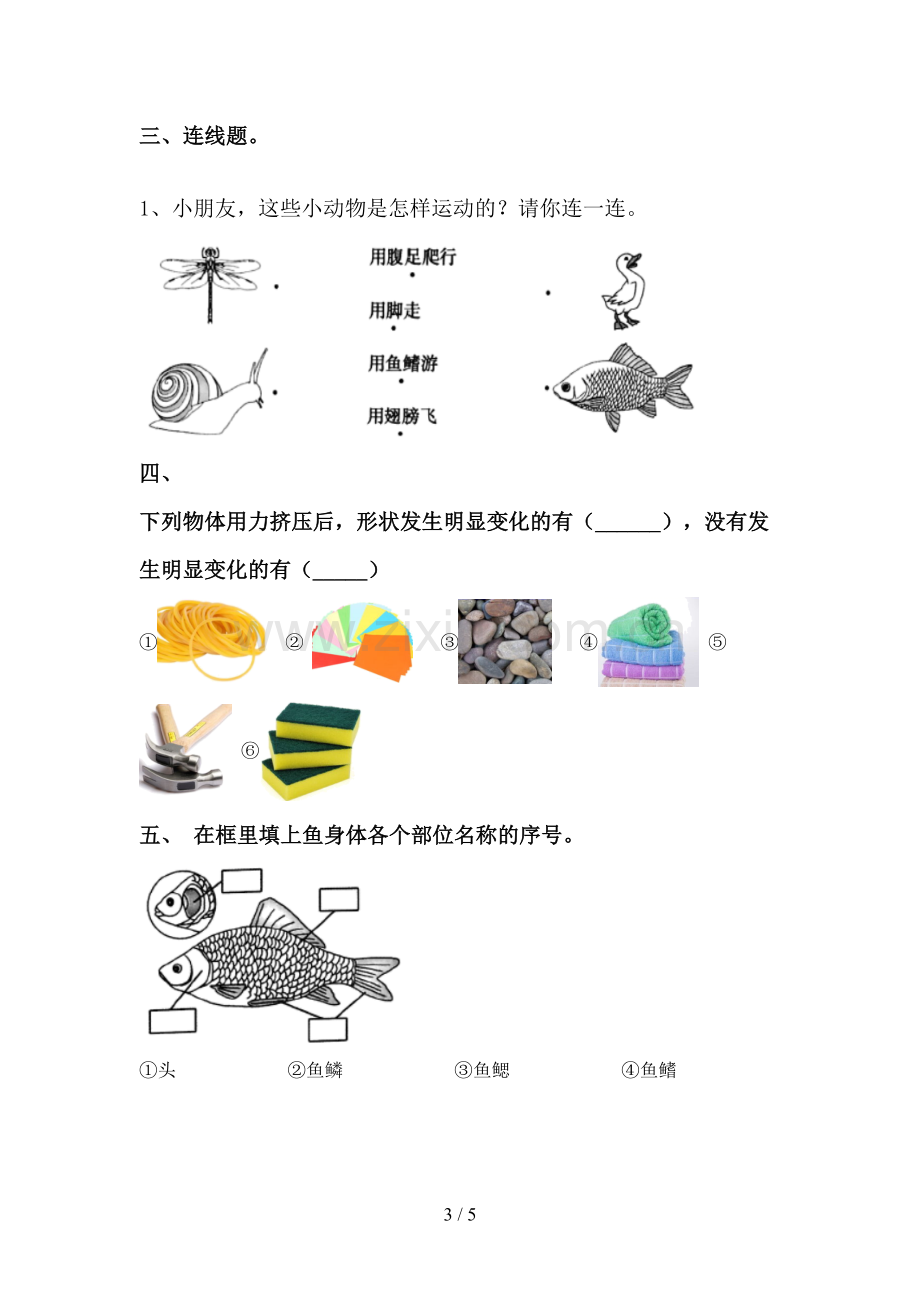 2022-2023年教科版一年级科学下册期中测试卷(及答案).doc_第3页