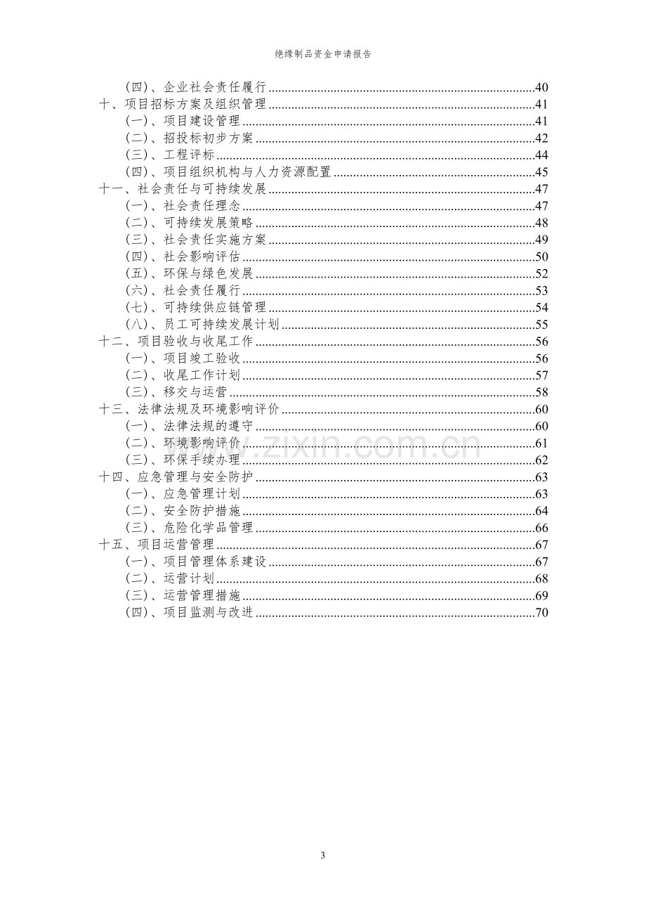 2023年绝缘制品项目资金申请报告.docx_第3页