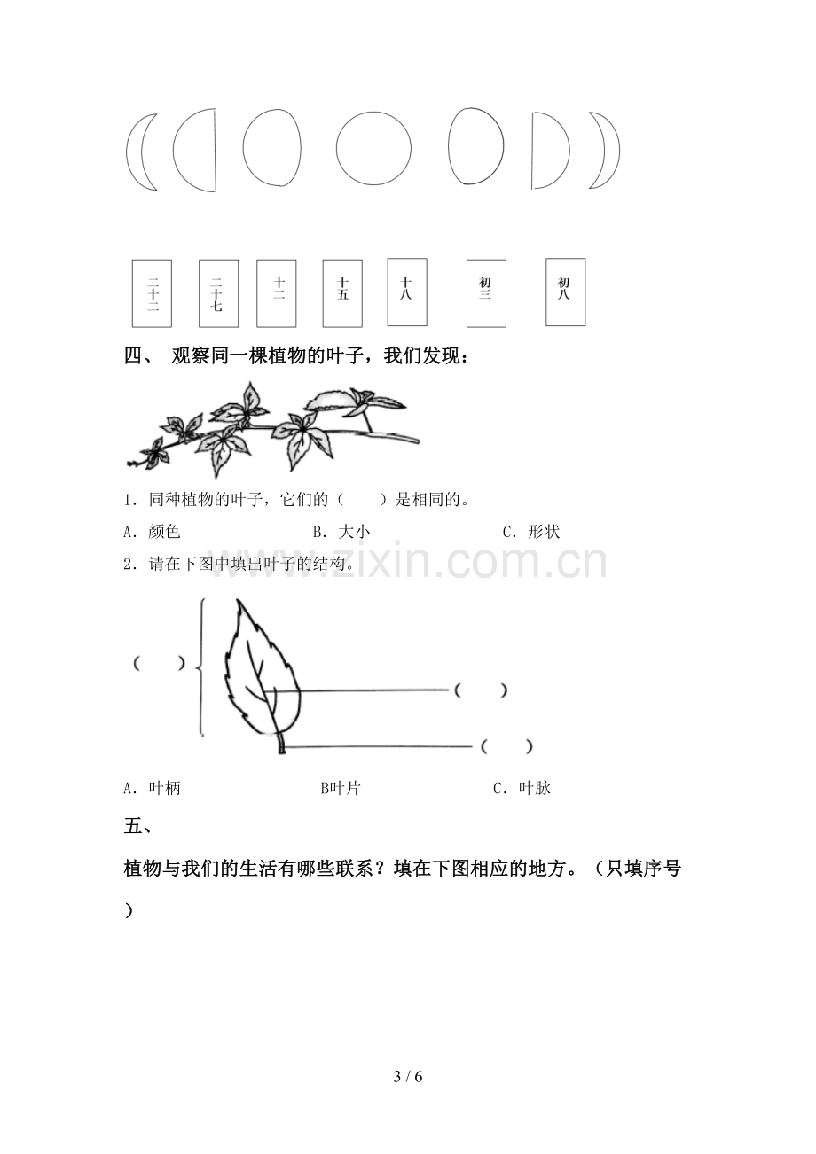 2023年教科版一年级科学下册期中测试卷(新版).doc_第3页