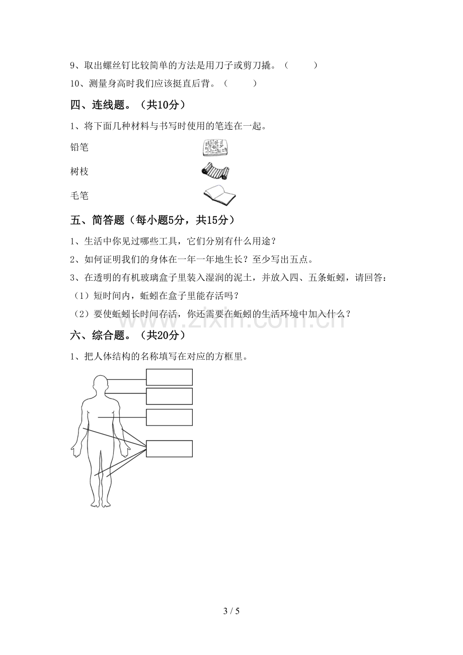 人教版二年级科学下册期中试卷及答案【审定版】.doc_第3页