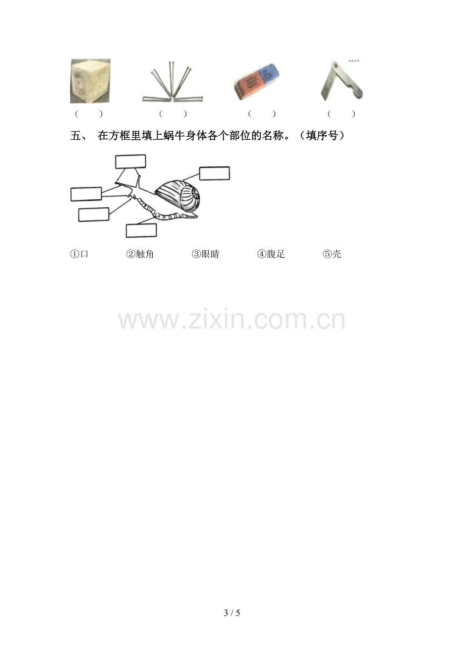 一年级科学下册期中试卷及答案【必考题】.doc_第3页