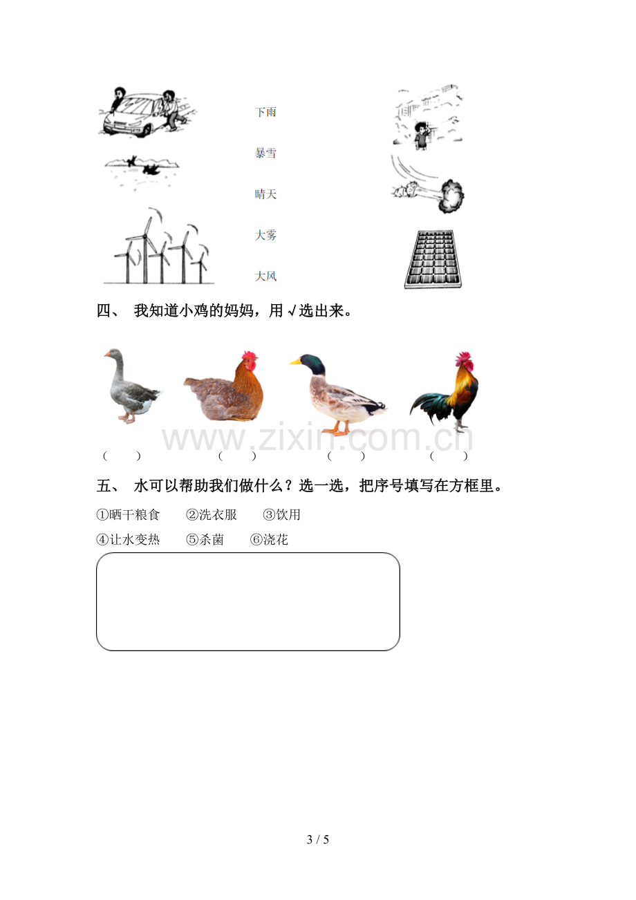 新教科版一年级科学下册期中试卷(及答案).doc_第3页