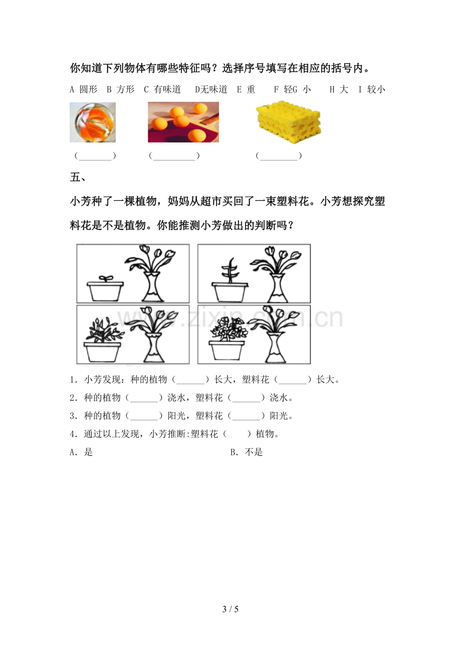 2022-2023年教科版一年级科学下册期中考试题及答案.doc_第3页