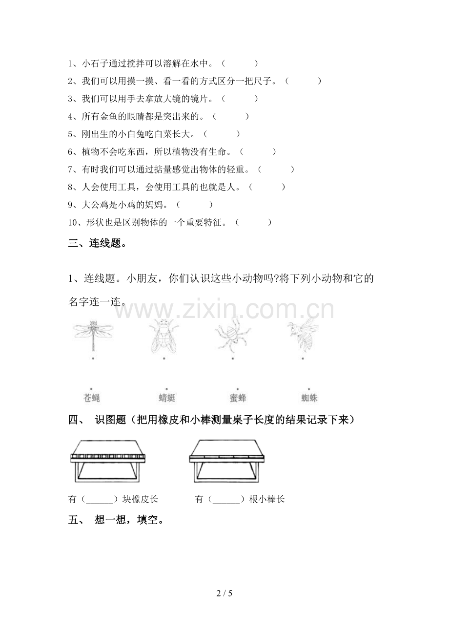 新人教版一年级科学下册期中试卷(必考题).doc_第2页