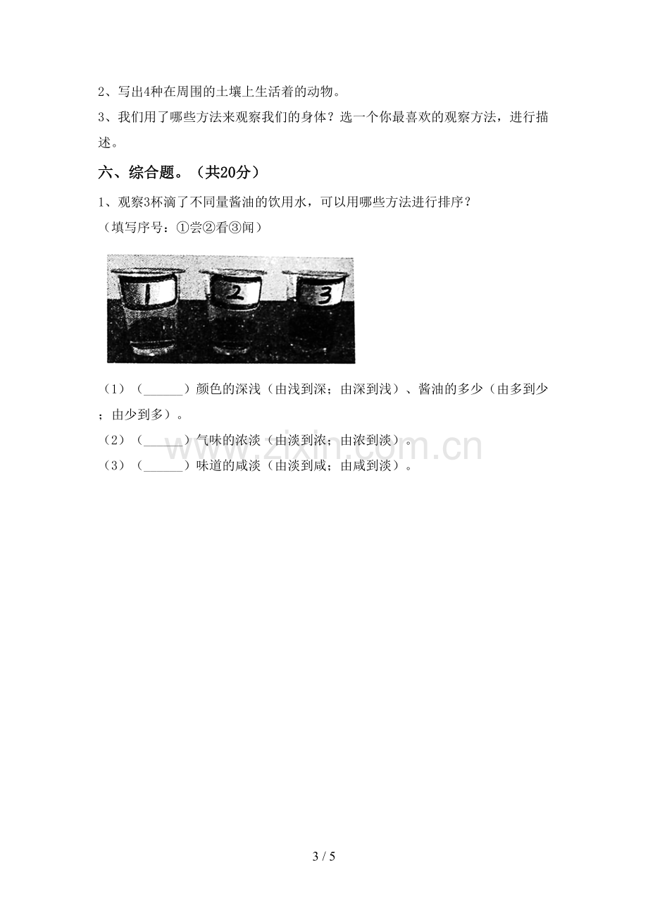 新教科版二年级科学下册期中测试卷【带答案】.doc_第3页