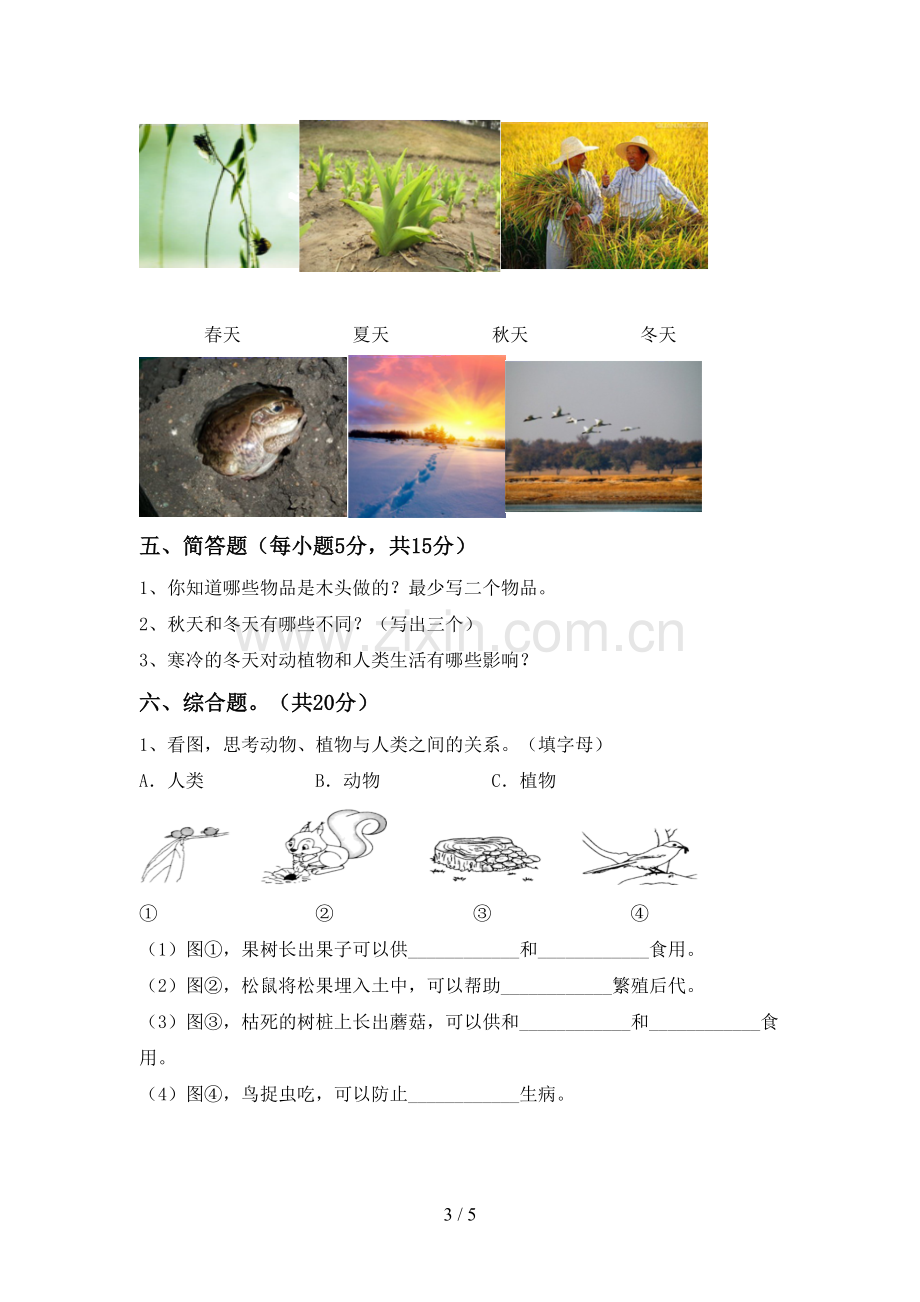 2022-2023年人教版二年级科学下册期中测试卷(可打印).doc_第3页