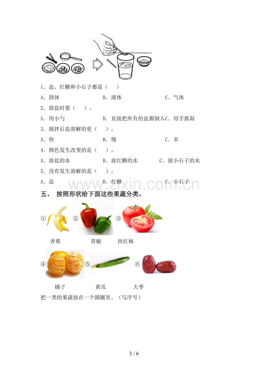 2023年教科版一年级科学下册期中考试卷(通用).doc_第3页