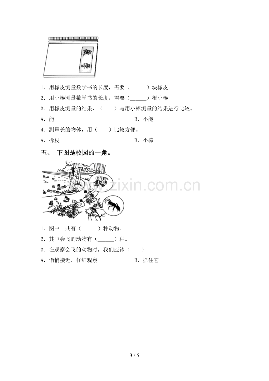 新教科版一年级科学下册期中测试卷一.doc_第3页