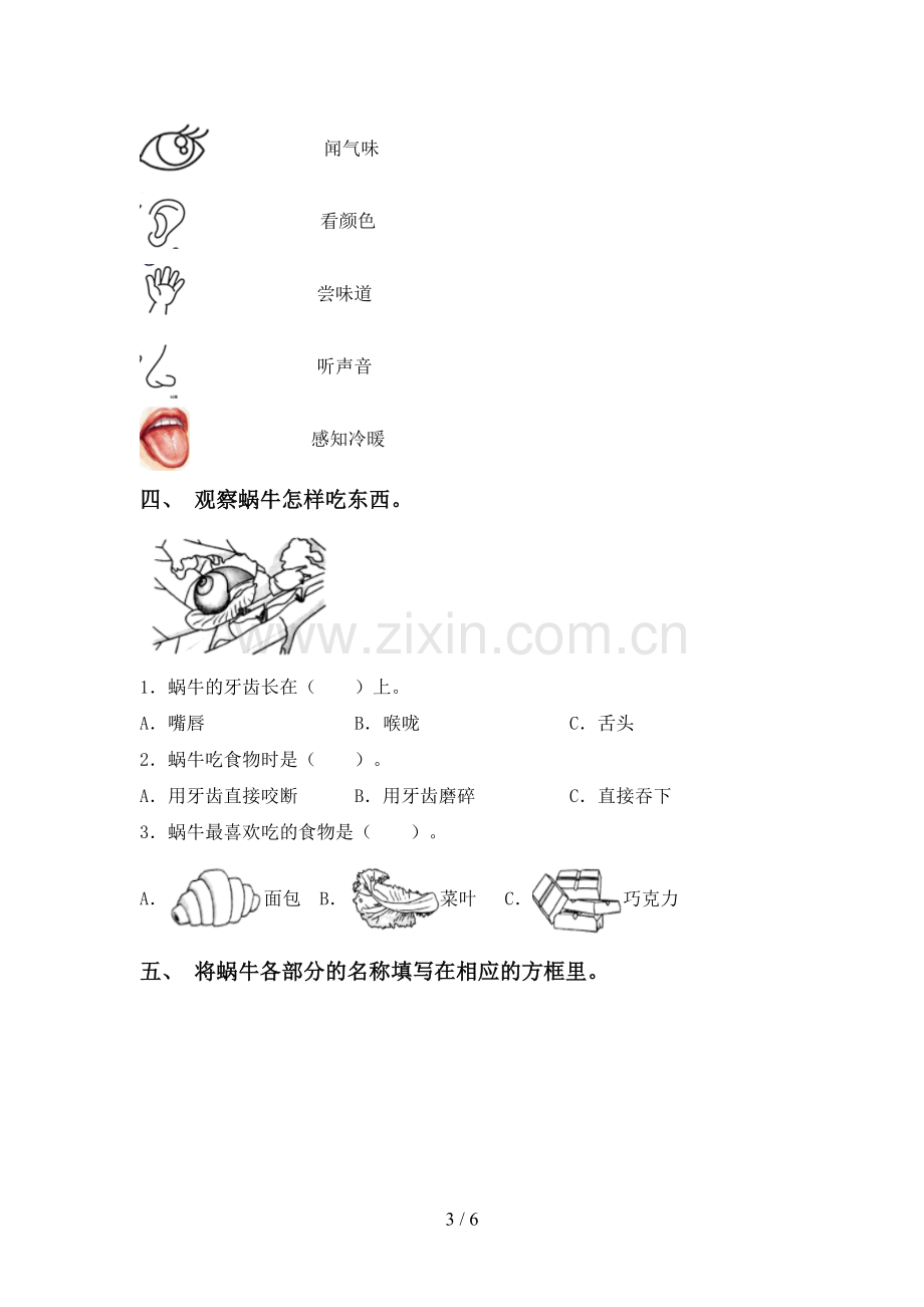 教科版一年级科学下册期中考试卷及答案.doc_第3页