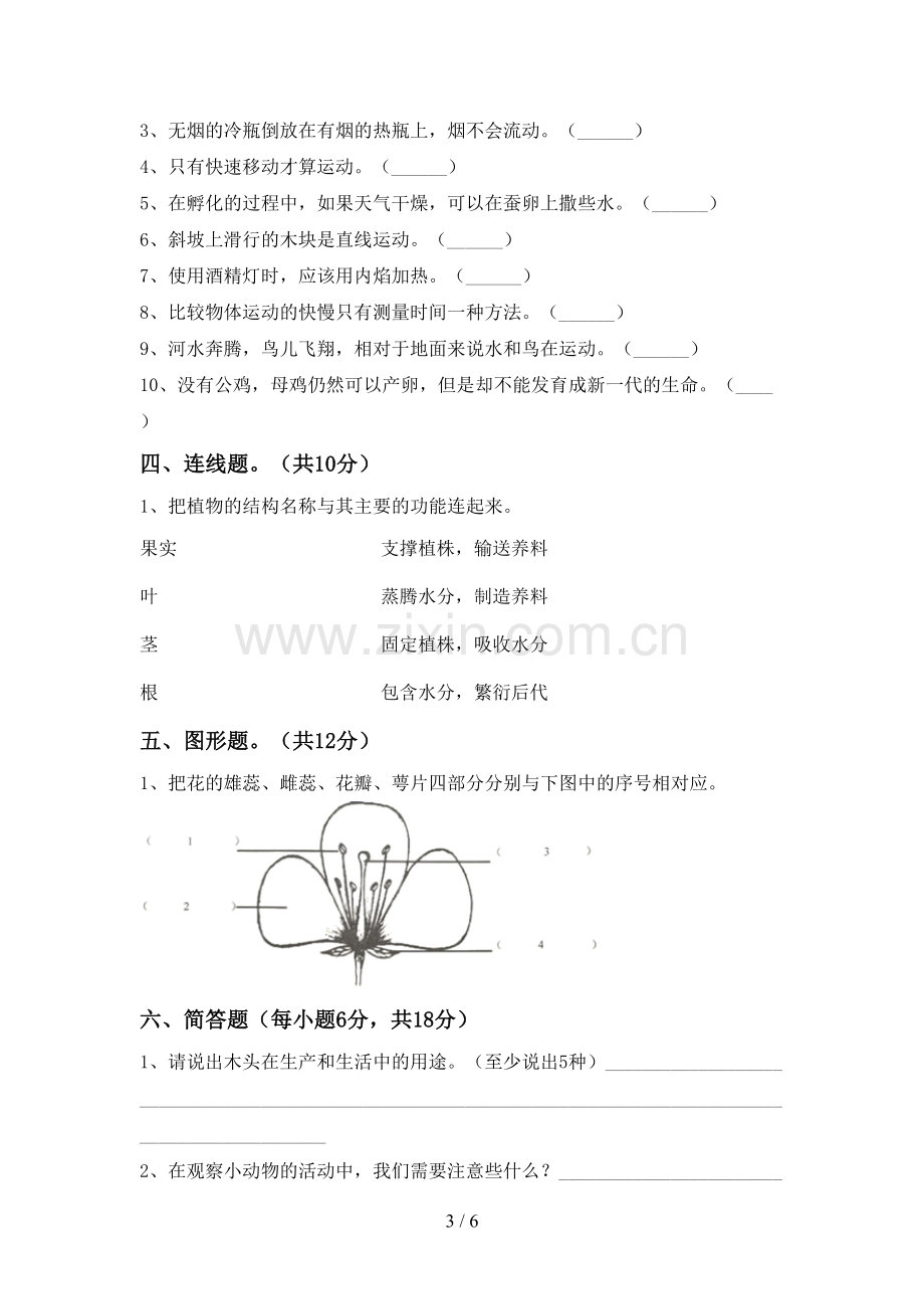 新教科版三年级科学下册期中试卷及答案【可打印】.doc_第3页